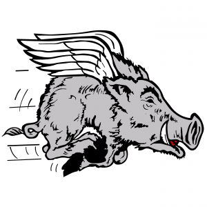 Dayton Rugby Flying Pig Logo